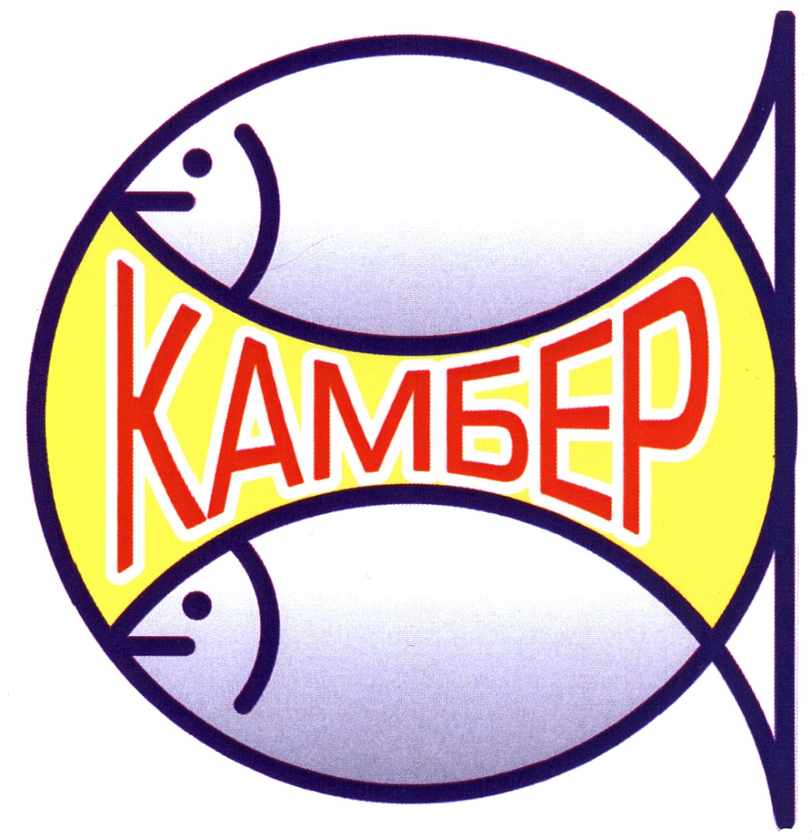 Kamber
